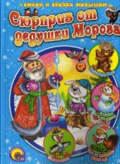 book Сюрприз от дедушки Мороза