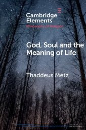 book God, Soul and the Meaning of Life