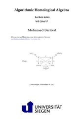 book Algorithmic Homological Algebra: WS 2016/17