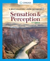 book Sensation and Perception