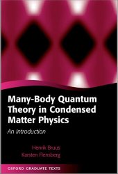 book Many-Body Quantum Theory in Condensed Matter Physics