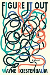 book Figure It Out: Essays