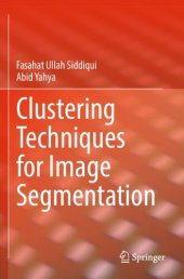 book Clustering Techniques for Image Segmentation