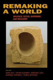 book Remaking a World: Violence, Social Suffering, and Recovery