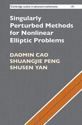 book Singularly Perturbed Methods for Nonlinear Elliptic Problems