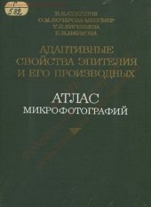 book Адаптивные свойства эпителия и его производных