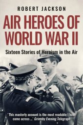 book Air Heroes of World War II