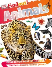 book DKfindout! Animals