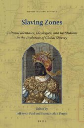 book Slaving Zones: Cultural Identities, Ideologies, and Institutions in the Evolution of Global Slavery