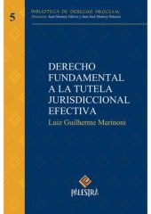 book Derecho fundamental a la tutela jurisdiccional efectiva