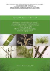 book Морские и солоноватоводные виды водорослей семейства Cladophoraceae и рода Aegagropila Понто-Каспийского бассейна: полевой определитель