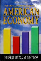 book The Illustrated Guide to the American Economy