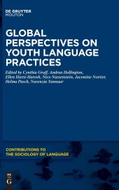 book Global Perspectives on Youth Language Practices