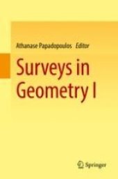 book Surveys in Geometry I