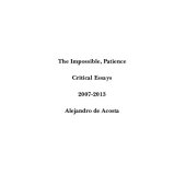 book The Impossible, Patience: Critical Essays 2007-2013