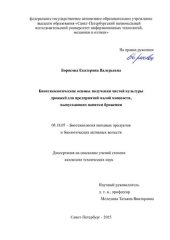 book Биотехнологические основы получения чистой культуры дрожжей для предприятий малой мощности, выпускающих напитки брожения