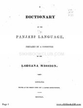 book A dictionary of the Panjábí language