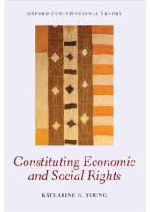 book Constituting economic and social rights