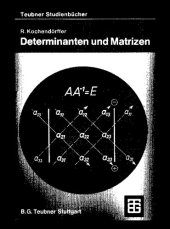 book Determinanten und Matrizen