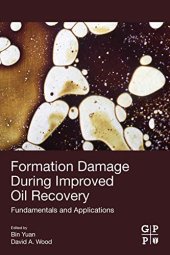 book Formation Damage during Improved Oil Recovery: Fundamentals and Applications