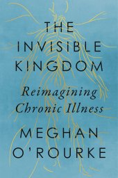 book The Invisible Kingdom: Reimagining Chronic Illness