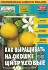 book Как выращивать на окошке цитрусовые
