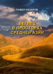 book Беглец в просторах Средней Азии