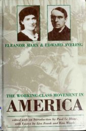 book The Working Class Movement in America