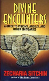 book Divine encounters - a guide to visions, angels, and other emissaries