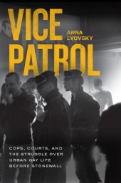 book Vice Patrol : Cops, Courts, and the Struggle over Urban Gay Life before Stonewall