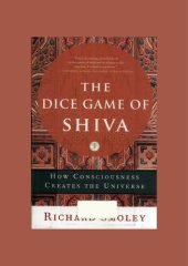 book Dice game of Shiva - how consciousness creates the universe