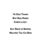 book VỀ ĐẤU TRANH BẤT BẠO ĐỘNG CHIẾN LƯỢC: SUY NGHĨ VỀ NHỮNG NGUYÊN TẮC CƠ BẢN