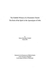 book The Faithful Witness of a Pneumatic Church The Role of the Spirit in the Apocalypse of John