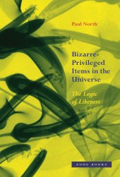 book Bizarre-Privileged Items in the Universe: The Logic of Likeness