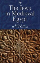 book The Jews in Medieval Egypt