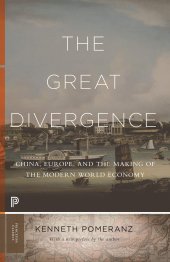 book The Great Divergence: China, Europe, and the Making of the Modern World Economy