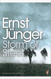 book Storm of Steel