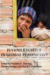 book Juvenile Justice in Global Perspective