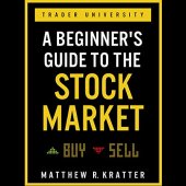 book A Beginner's Guide to the Stock Market