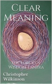 book Clear Meaning: The Force of Wisdom Tantra