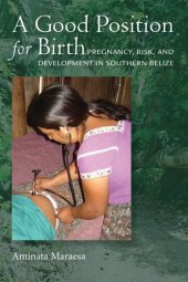 book A Good Position for Birth: Pregnancy, Risk, and Development in Southern Belize