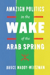 book Amazigh Politics in the Wake of the Arab Spring