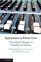 book Injunctions In Patent Law: Trans-Atlantic Dialogues On Flexibility And Tailoring