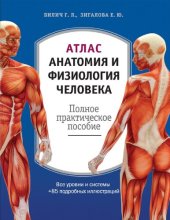 book Атлас: анатомия и физиология человека: полное практическое пособие : все уровни и системы + 85 подробных иллюстраций