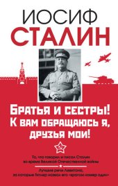 book Братья и сестры! К вам обращаюсь я, друзья мои. О войне от первого лица