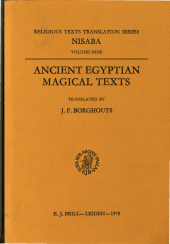 book Ancient Egyptian Magical Texts