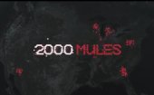 book 2000 mules full movie illustrated transcript