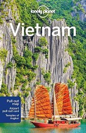 book Lonely Planet Vietnam 15 (Travel Guide)