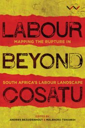 book Labour Beyond Cosatu: Mapping the Rupture in South Africa's Labour Landscape