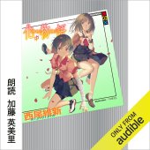 book Bakemonogatari - 化物語 (中)